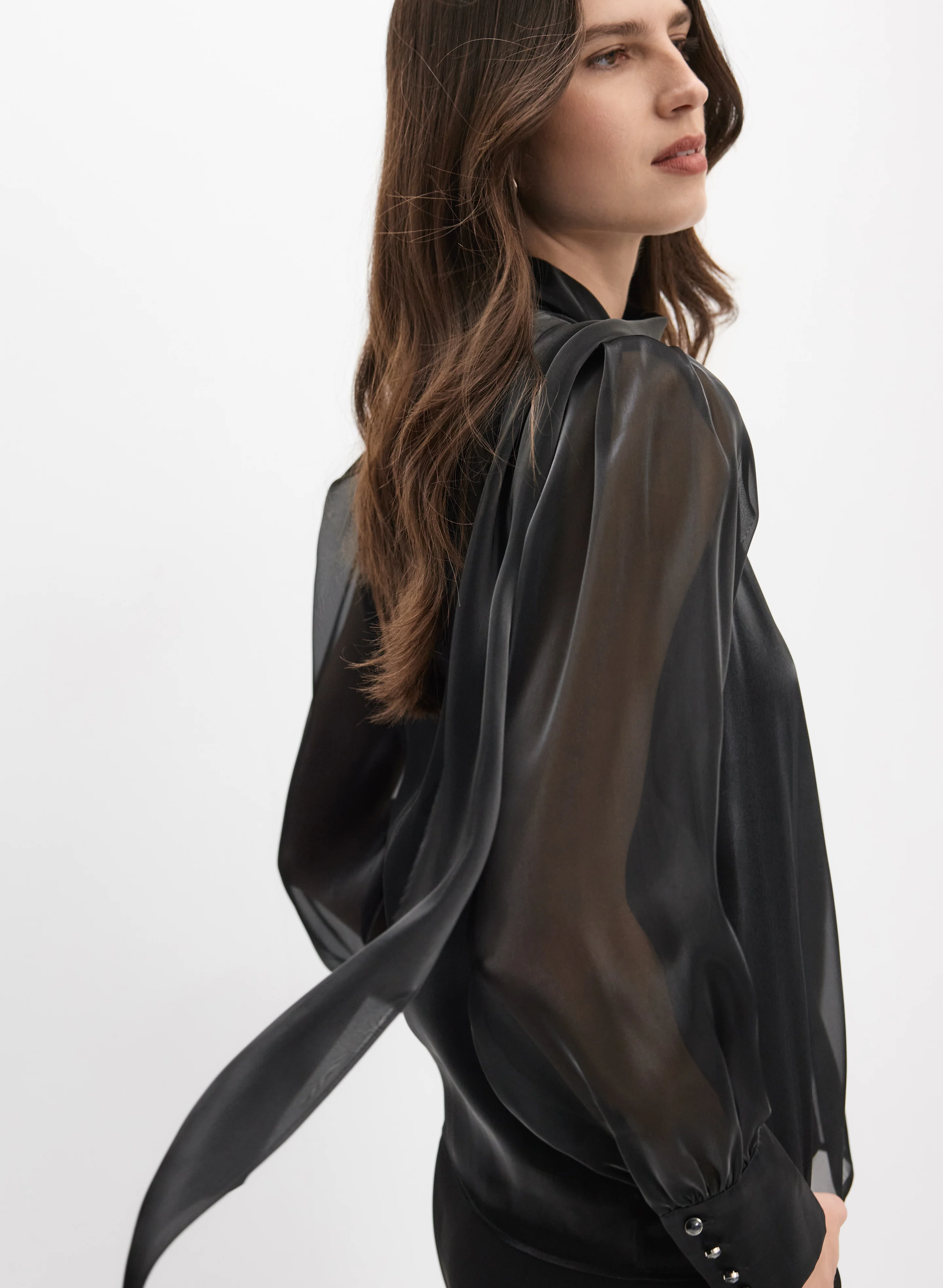 Shimmer Organza Blouse - Image 5
